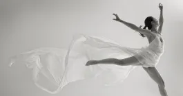 융·복합 예술